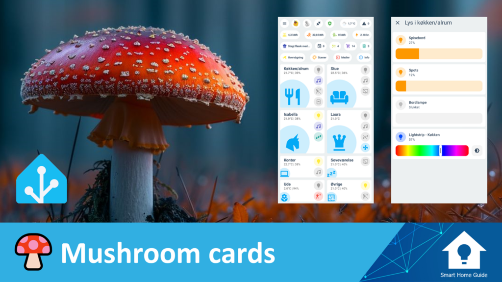 Indlæg - Brug af mushroom cards